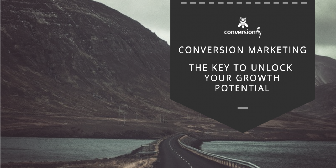 Conversion Marketing – The Key To Unlock Your Growth Potential